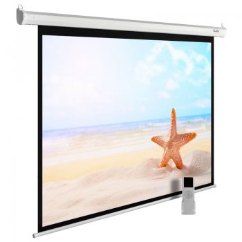 Экран для проектора Cactus 138x220см MotoExpert CS-PSME-220x138-WT 16:10 настенно-потолочный рулонный белый (моторизованный привод)